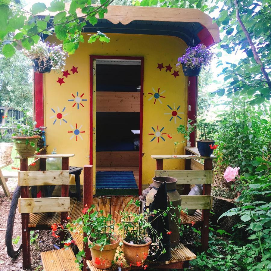 Bed and breakfast De Pauw - Country Cooking