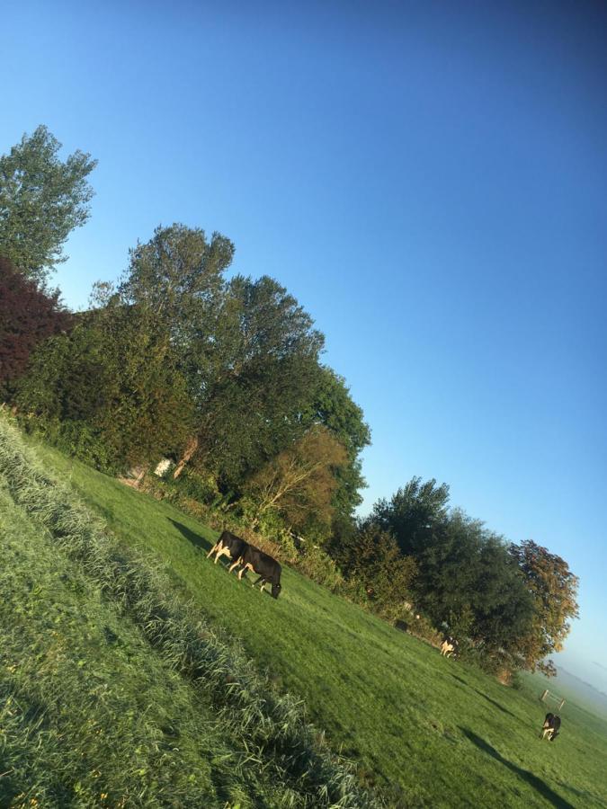 Bed and breakfast De Pauw - Country Cooking