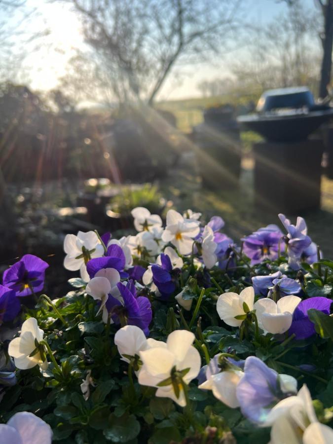 Bed and breakfast De Pauw - Country Cooking Graft